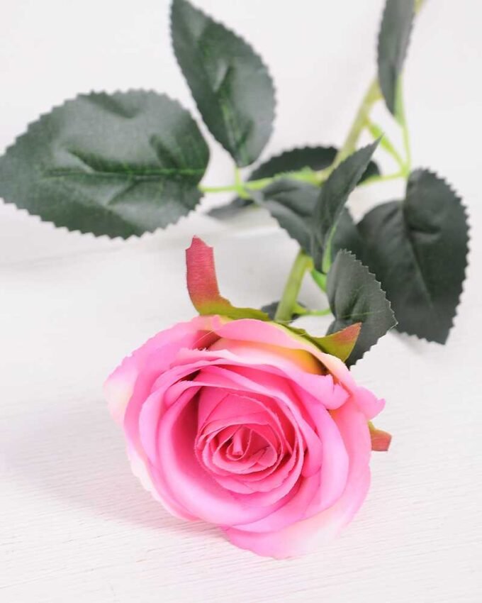 7*62CM SINGLE ROSE(SPRING) GS-3800028-Z2