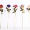 7*62CM SINGLE ROSE(AUTUMN) GS-3800029-B1