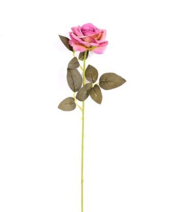 7*62CM SINGLE ROSE(AUTUMN) GS-3800029-Z1