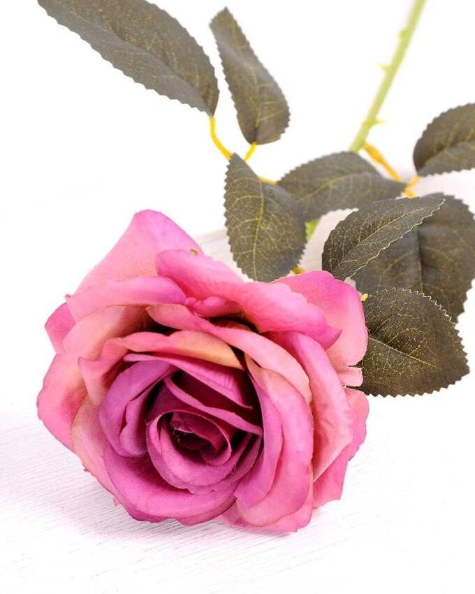 7*62CM SINGLE ROSE(AUTUMN) GS-3800029-Z1