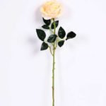 11*70CM SINGLE ROSE(SPRING) GS-3800030-C1