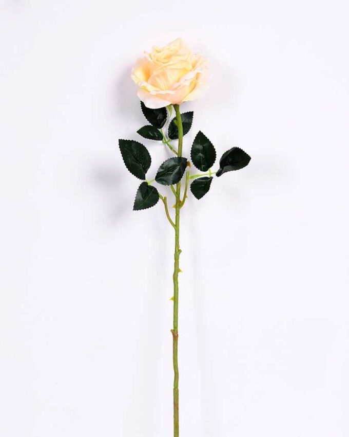 11*70CM SINGLE ROSE(SPRING) GS-3800030-C1