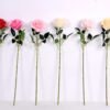 11*70CM SINGLE ROSE(SPRING) GS-3800030-C1