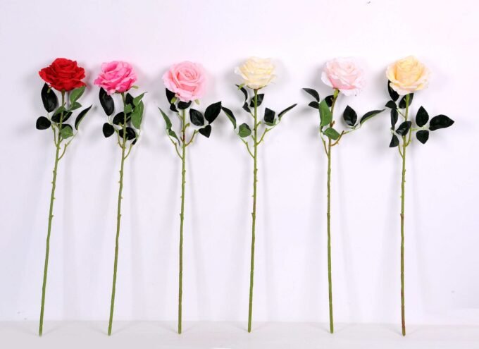 11*70CM SINGLE ROSE(SPRING) GS-3800030-C1