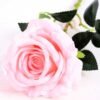 11*70CM SINGLE ROSE(SPRING) GS-3800030-P1