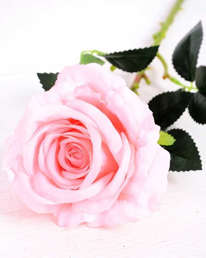 11*70CM SINGLE ROSE(SPRING) GS-3800030-P1