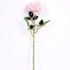 11*70CM SINGLE ROSE(SPRING) GS-3800030-P2