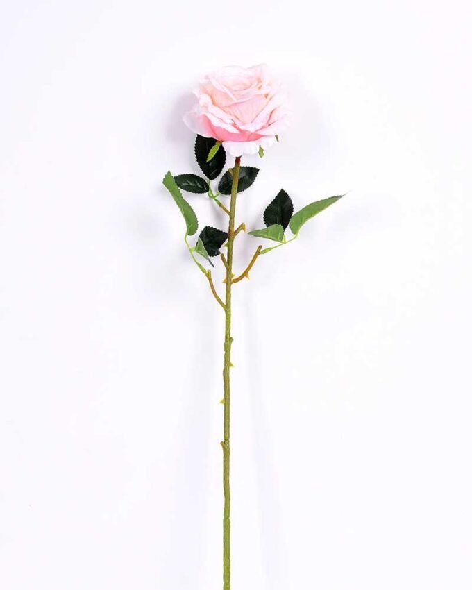 11*70CM SINGLE ROSE(SPRING) GS-3800030-P2