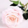 11*70CM SINGLE ROSE(SPRING) GS-3800030-P2