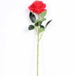 11*70CM SINGLE ROSE(SPRING) GS-3800030-R1