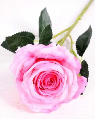 11*70CM SINGLE ROSE(SPRING) GS-3800030-R2