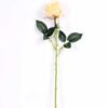 7*70CM SINGLE ROSE(SPRING) GS-3800031-C1