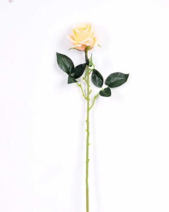 7*70CM SINGLE ROSE(SPRING) GS-3800031-C1