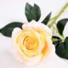 7*70CM SINGLE ROSE(SPRING) GS-3800031-C1