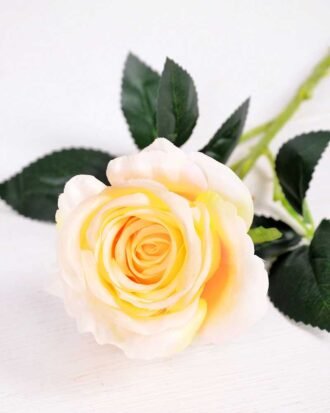 7*70CM SINGLE ROSE(SPRING) GS-3800031-C1
