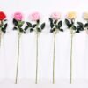7*70CM SINGLE ROSE(SPRING) GS-3800031-C1