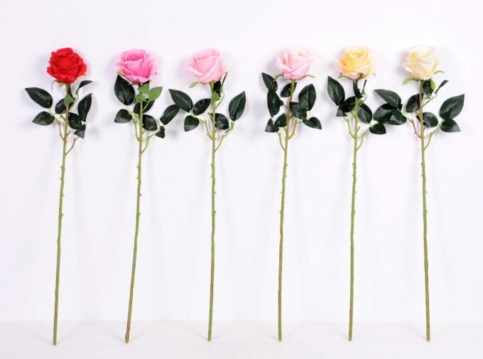 7*70CM SINGLE ROSE(SPRING) GS-3800031-C1