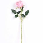7*70CM SINGLE ROSE(SPRING) GS-3800031-P1