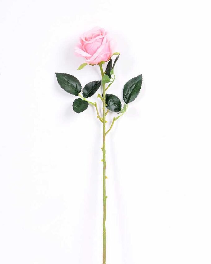 7*70CM SINGLE ROSE(SPRING) GS-3800031-P1