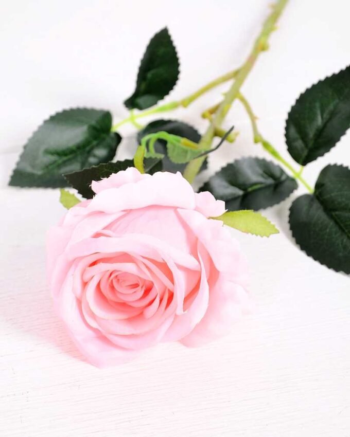 7*70CM SINGLE ROSE(SPRING) GS-3800031-P1