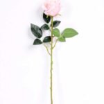 7*70CM SINGLE ROSE(SPRING) GS-3800031-P2