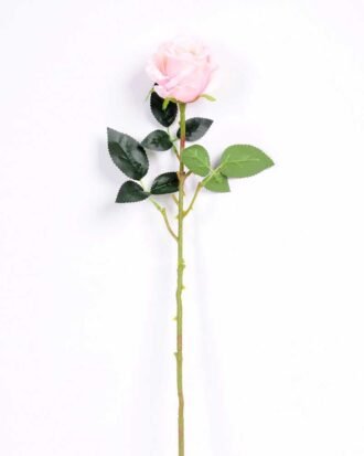 7*70CM SINGLE ROSE(SPRING) GS-3800031-P2