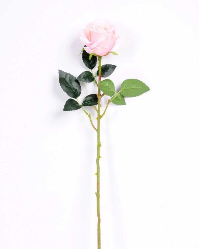 7*70CM SINGLE ROSE(SPRING) GS-3800031-P2