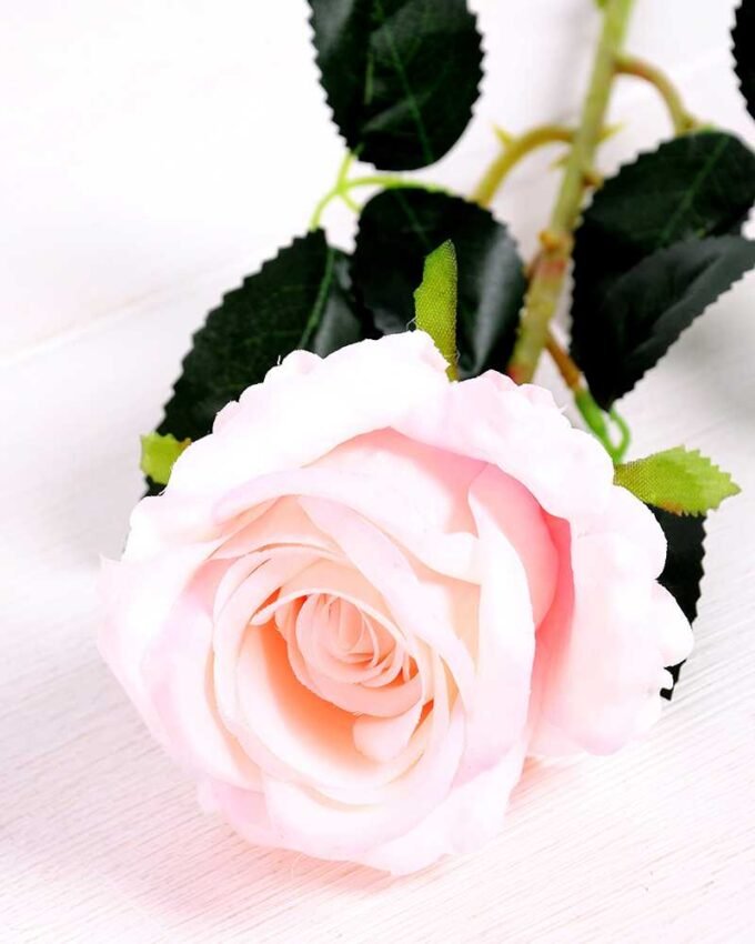 7*70CM SINGLE ROSE(SPRING) GS-3800031-P2