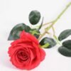 7*70CM SINGLE ROSE(SPRING) GS-3800031-R1
