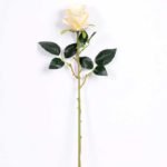 7*70CM SINGLE ROSE(SPRING) GS-3800031-W1