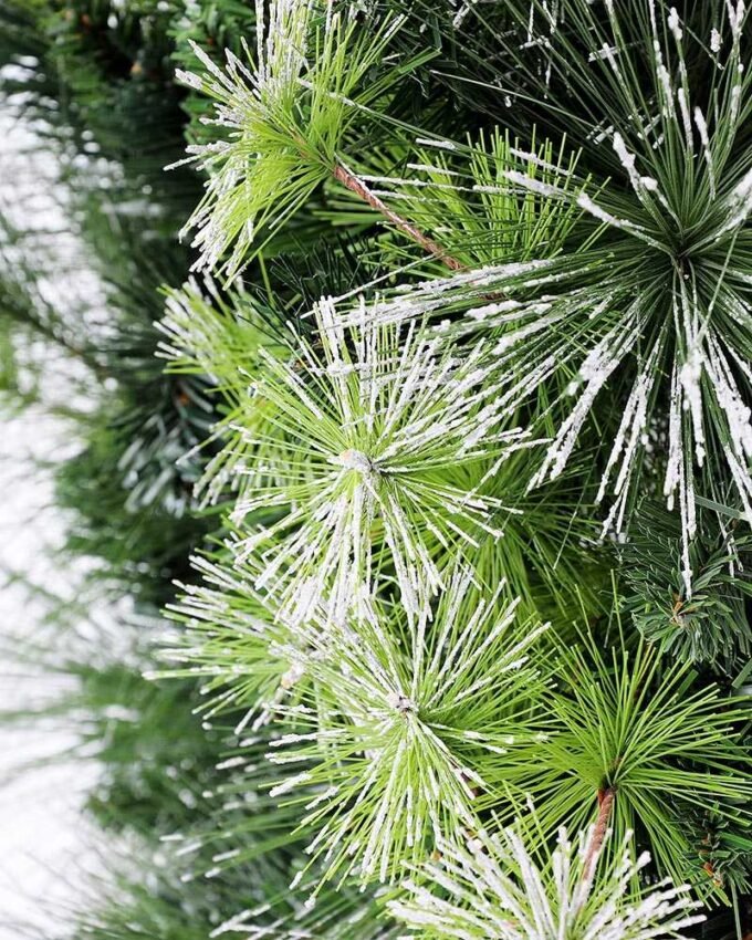 D:50CM Pine Wreath GS-3850012