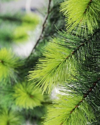 176CM  Needle Vine GS-3850014