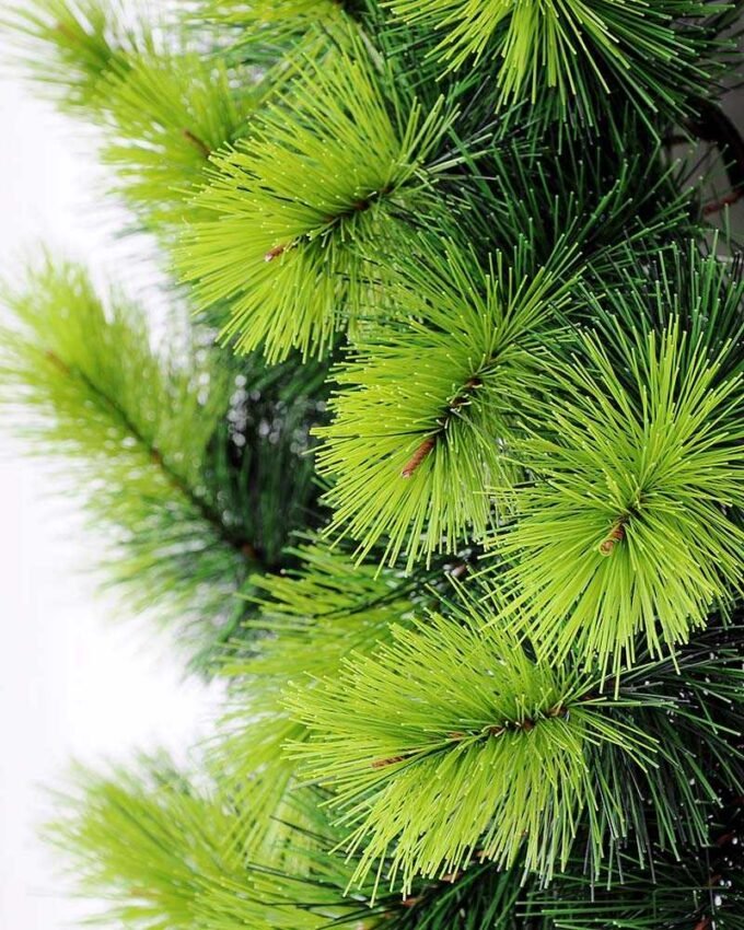 D:45CM Pine Wreath GS-3850015