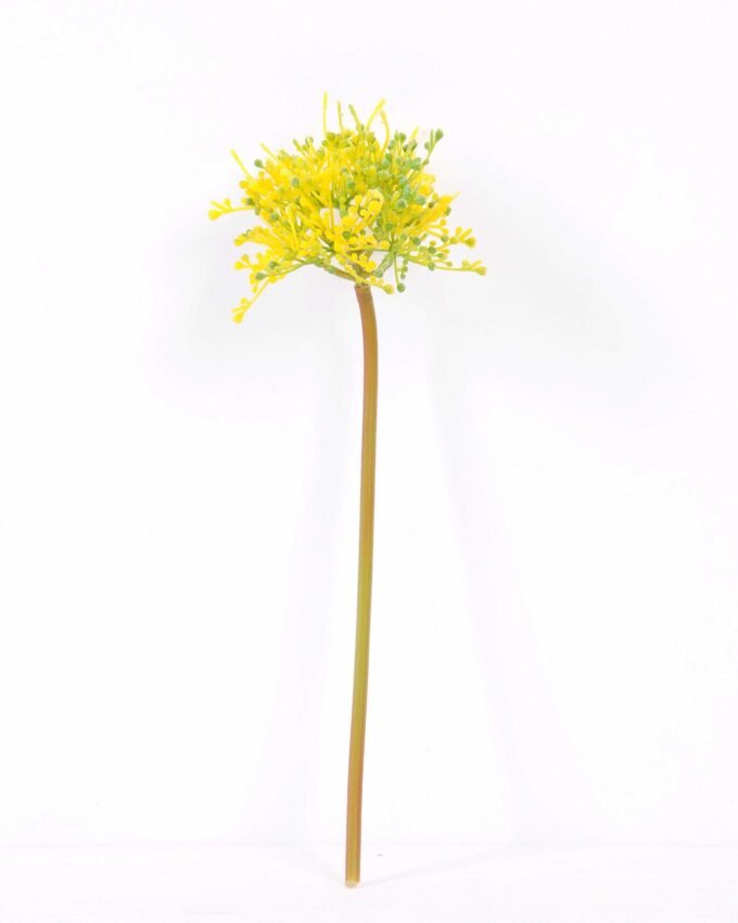 10*31CM chopped purple onion GS-3860003