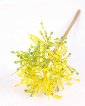 10*31CM chopped purple onion GS-3860003