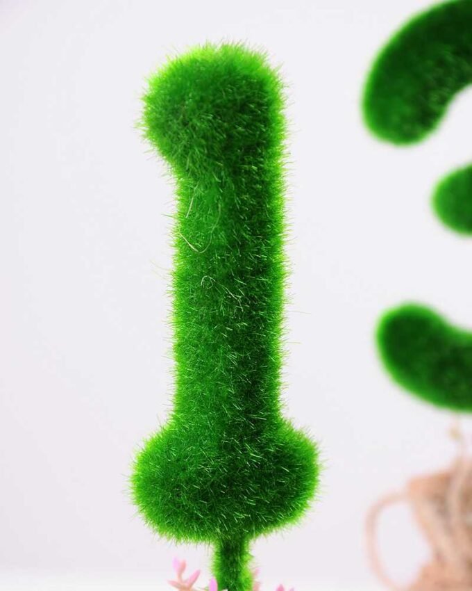 6.5*6.5*18CM POT WRAPPED FLAX FLOCKY CRAFTS SET SIZE(BOX):20.5*19*7 6.5*6.5*18CM POT WRAPPED FLAX FLOCKY CRAFTS SET SIZE(BOX):20.5*19*7.2CM GS-3890004