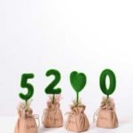 6.5*6.5*18CM POT WRAPPED FLAX FLOCKY CRAFTS SET SIZE(BOX):20.5*19*7.2CM GS-3890005