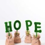 6.5*6.5*18CM POT WRAPPED FLAX FLOCKY CRAFTS SET SIZE(BOX):20.5*19*7.2CM GS-3890009
