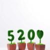5.5*5.5*16CM POTTED FLOCKY CRAFTS SET SIZE(BOX):29.5*18*6 5.5*5.5*16CM POTTED FLOCKY CRAFTS SET SIZE(BOX):29.5*18*6.5CM GS-3890027