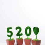 5.5*5.5*16CM POTTED FLOCKY CRAFTS  SET SIZE(BOX):29.5*18*6.5CM GS-3890027