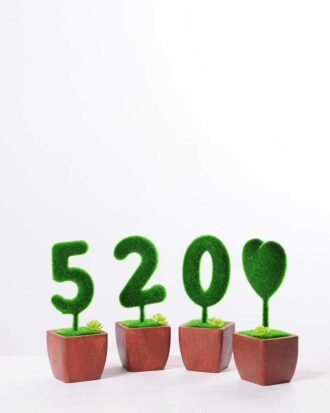 5.5*5.5*16CM POTTED FLOCKY CRAFTS  SET SIZE(BOX):29.5*18*6.5CM GS-3890027