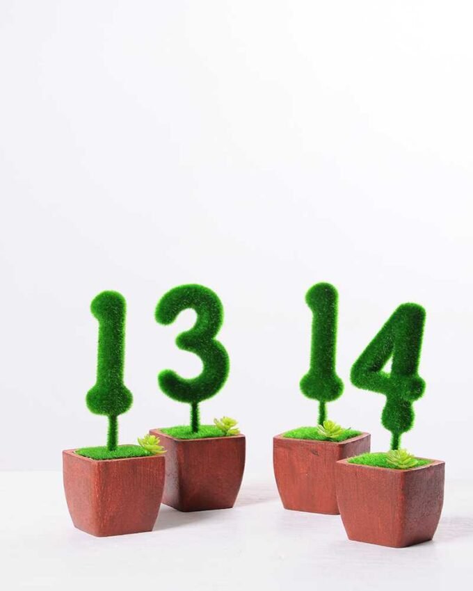 5.5*5.5*16CM POTTED FLOCKY CRAFTS  SET SIZE(BOX):29.5*18*6.5CM GS-3890029