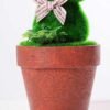 7*7*16CM POTTED FLOCKY CRAFTS GS-3890033