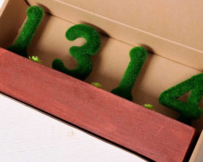 30*6.5*14CM POTTED FLOCKY CRAFTS  BOX SIZE:32.5*14.3*6.5CM GS-3890035