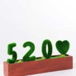 30*6.5*14CM POTTED FLOCKY CRAFTS  BOX SIZE:32.5*14.3*6.5CM GS-3890036