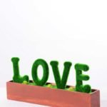 30*6.5*14CM POTTED FLOCKY CRAFTS  BOX SIZE:32.5*14.3*6.5CM GS-3890037