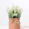 7.5*7.5*16CM POTTED WITH FLAX GRASS GS-3890040