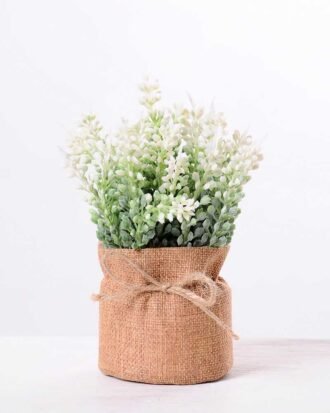 7.5*7.5*16CM POTTED WITH FLAX GRASS GS-3890040
