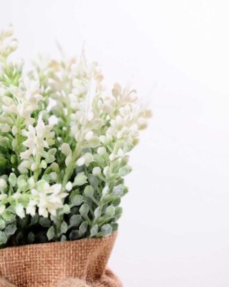 7.5*7.5*16CM POTTED WITH FLAX GRASS GS-3890040