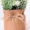 7.5*7.5*16CM POTTED WITH FLAX GRASS GS-3890040